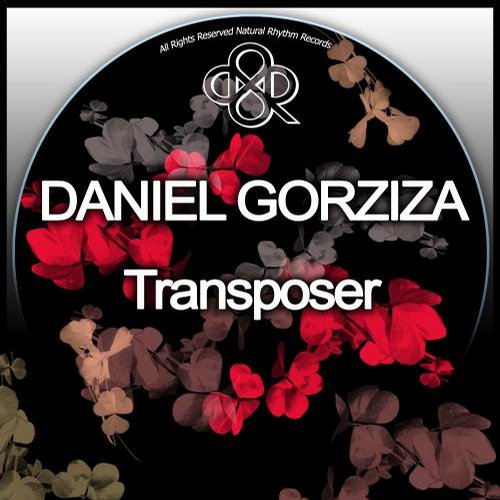 Daniel Gorziza – Transposer