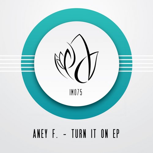 Aney F – Turn It On EP