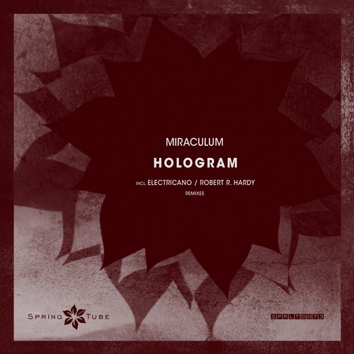 Miraculum – Hologram