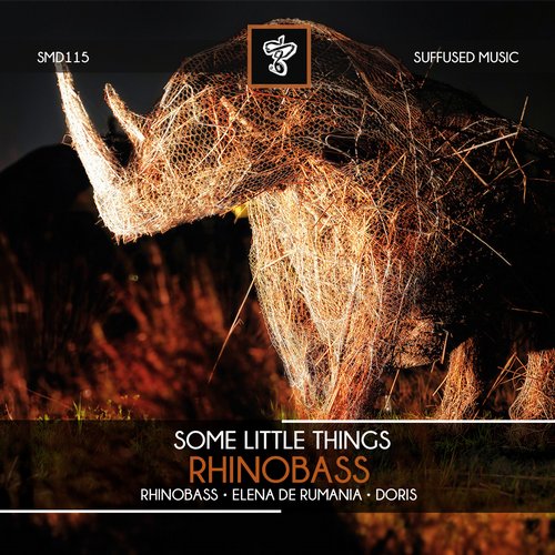 Some Little Things – Rhinobass