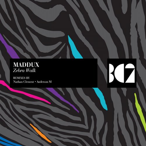 Maddux – Zebra Walk