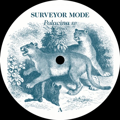 Surveyor Mode – Palacina EP