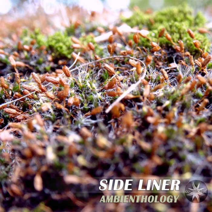 Side Liner – Ambienthology