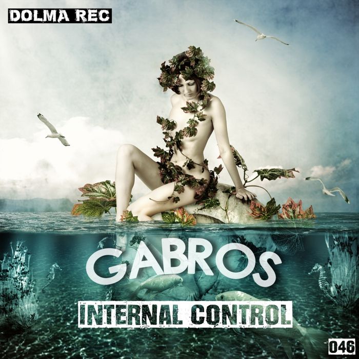 Gabros – Internal Control