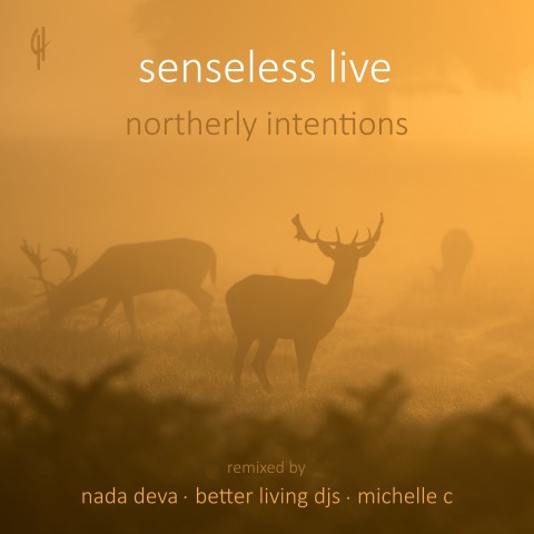 Senseless Live – Northerly Intentions