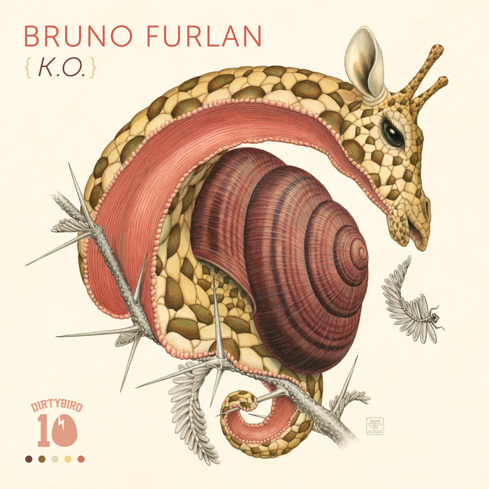 Bruno Furlan – K.O.