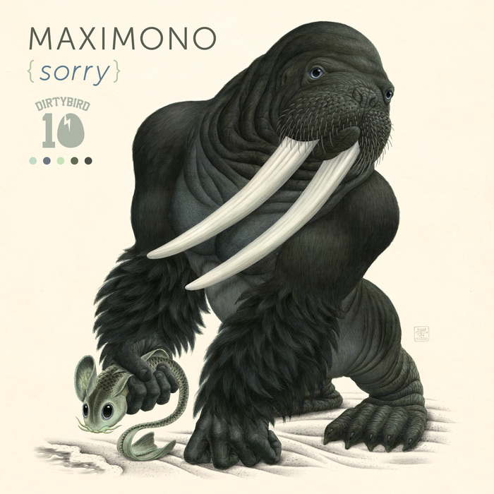Maximono – Sorry