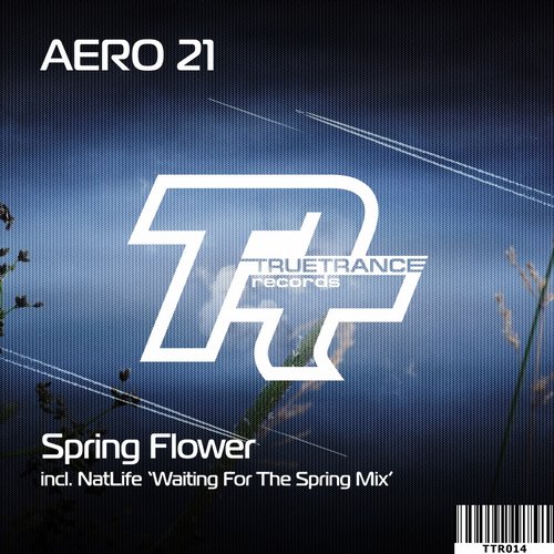 Aero 21 – Spring Flower