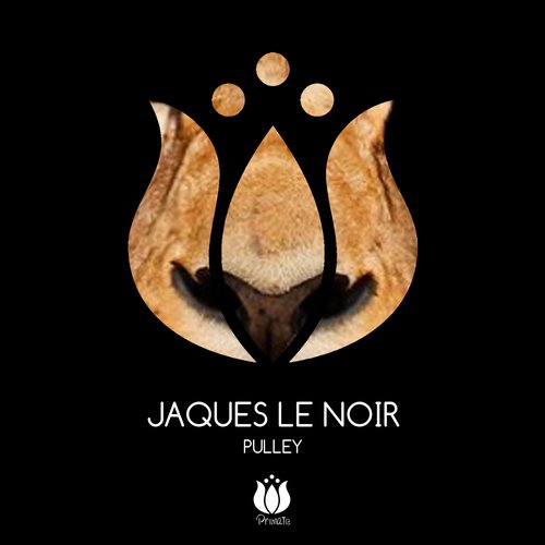 Jaques Le Noir – Pulley