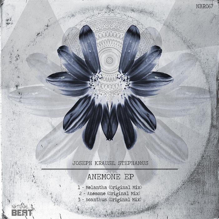 Joseph Krause & Stephan:us – Anemone EP