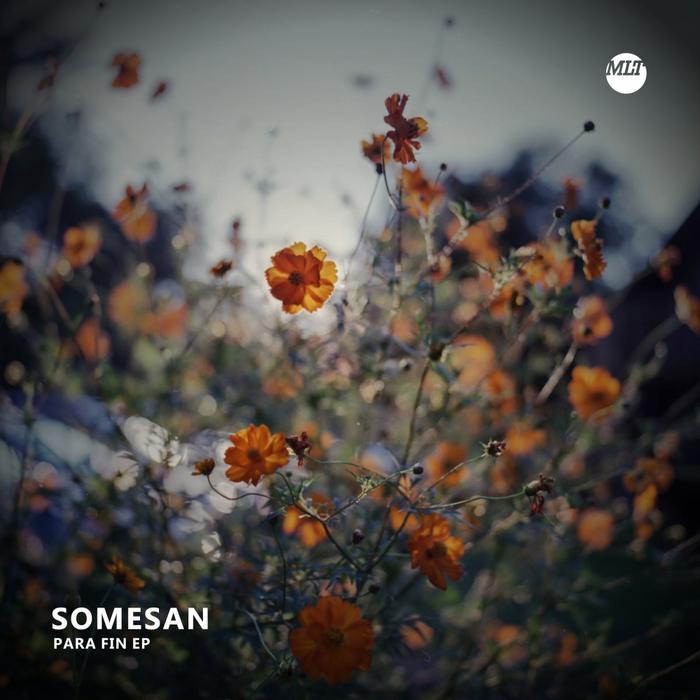 Somesan – Para Fin