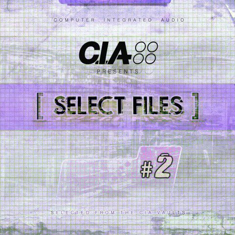 C.I.A.: Select Files 2