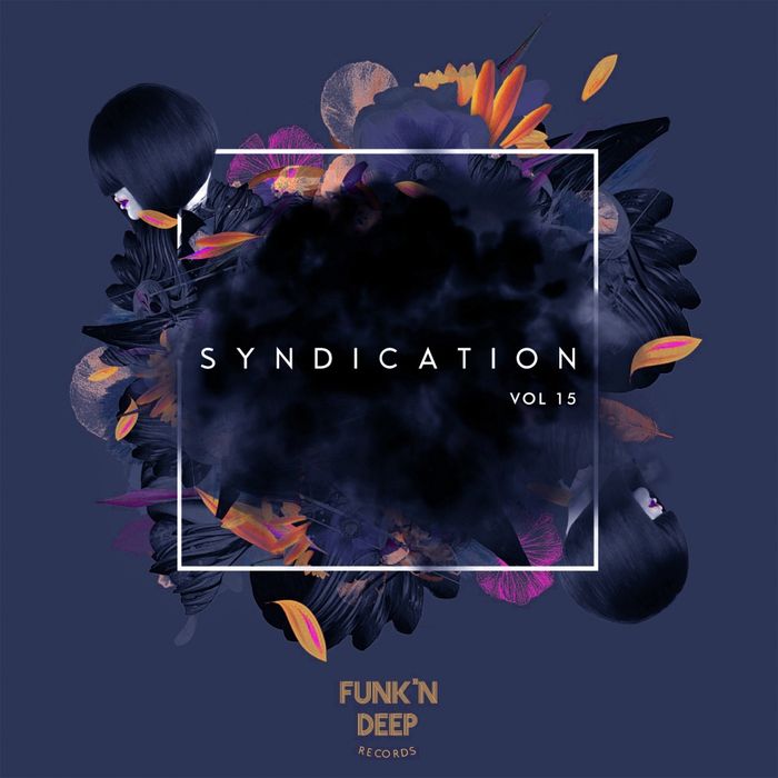 Funk’n Deep Records: Syndication, Vol. 15