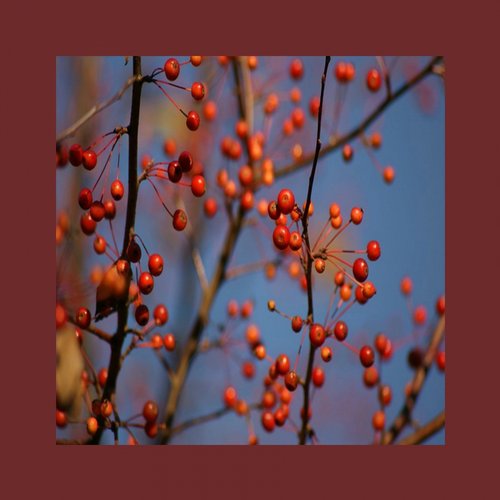 Buben – Fair Wind EP
