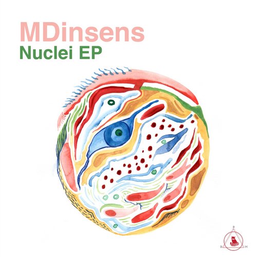 Mdinsens – Nuclei