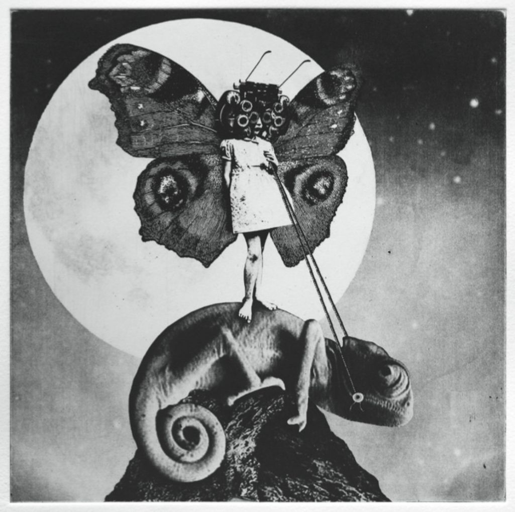 The Exaltics – The Girl And The Chameleon