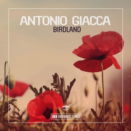 Antonio Giacca – Birdland