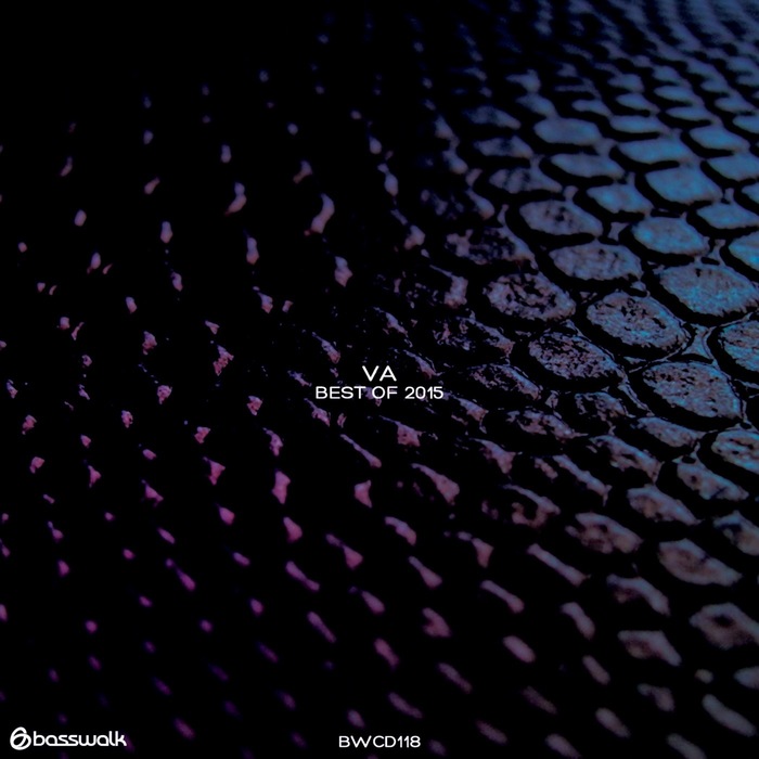 Basswalk: Best Of 2015