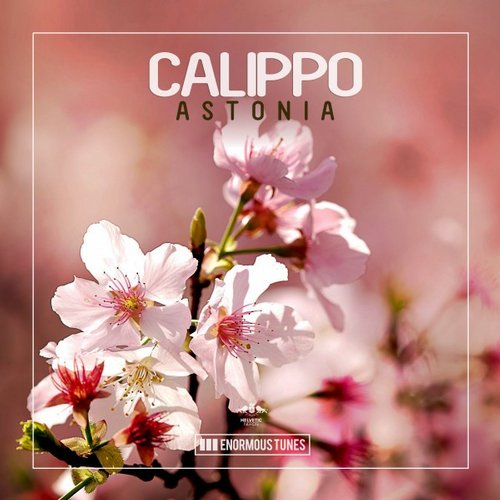 Calippo – Astonia