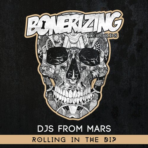 DJs From Mars – Rolling In The Dip