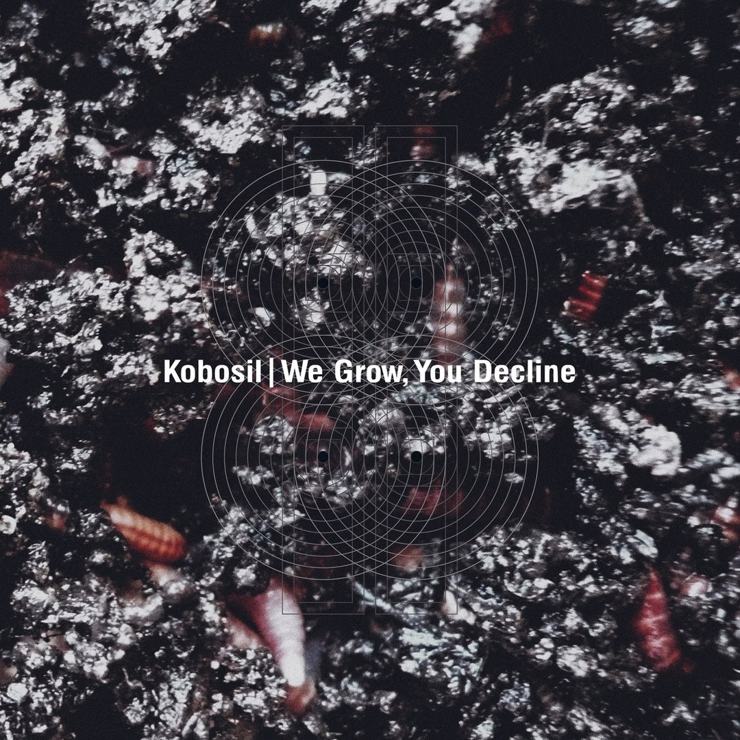 Kobosil – We Grow, You Decline
