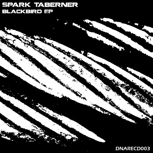 Spark Taberner – Blackbird EP