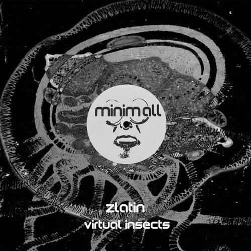 Zlatin – Virtual Insects