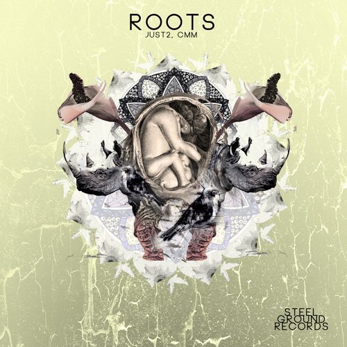 JUST2, CMM – Roots