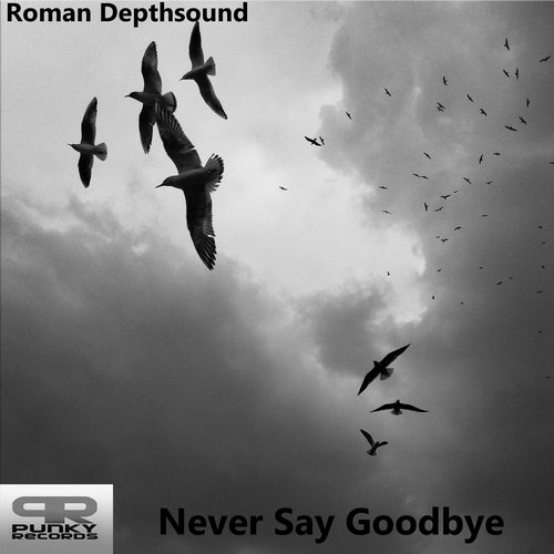 Roman Depthsound – Never Say Goodbye