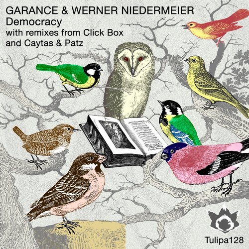 Werner Niedermeier, Garance – Democracy