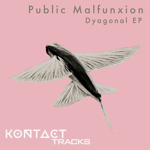 Public Malfunxion – Dyagonal
