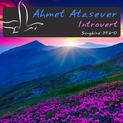 Ahmet Atasever – Introvert