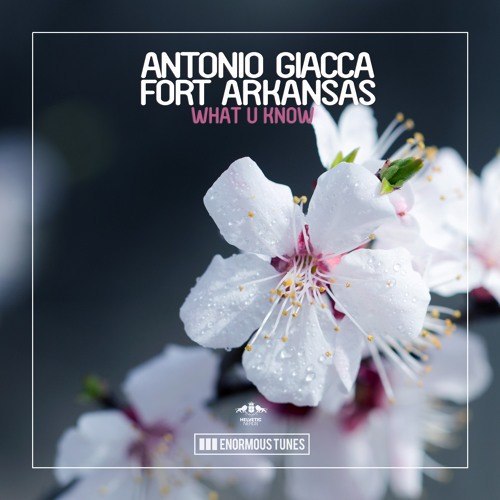 Antonio Giacca & Fort Arkansas – What U Know