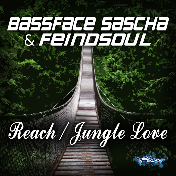 Bassface Sascha & Feindsoul – Reach / Jungle Love