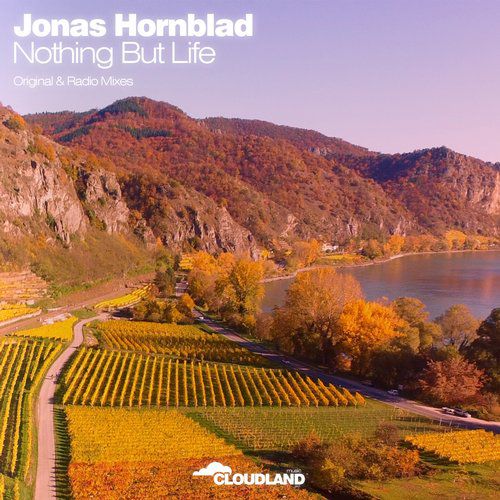 Jonas Hornblad – Nothing but Life