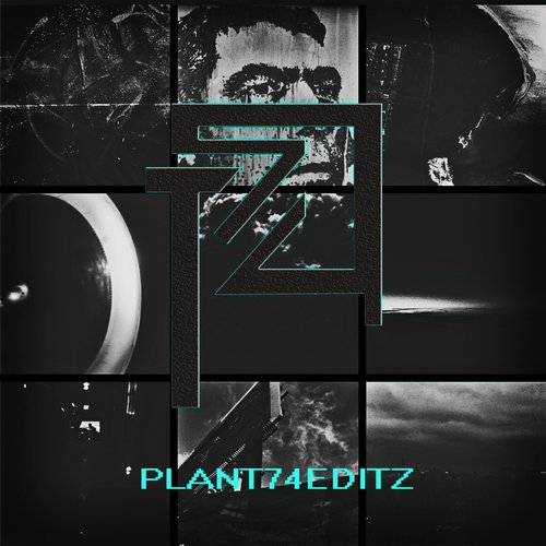 PLANT74EDITZ