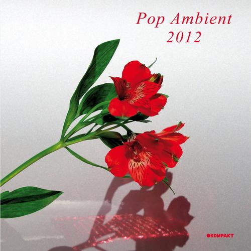 Pop Ambient 2012
