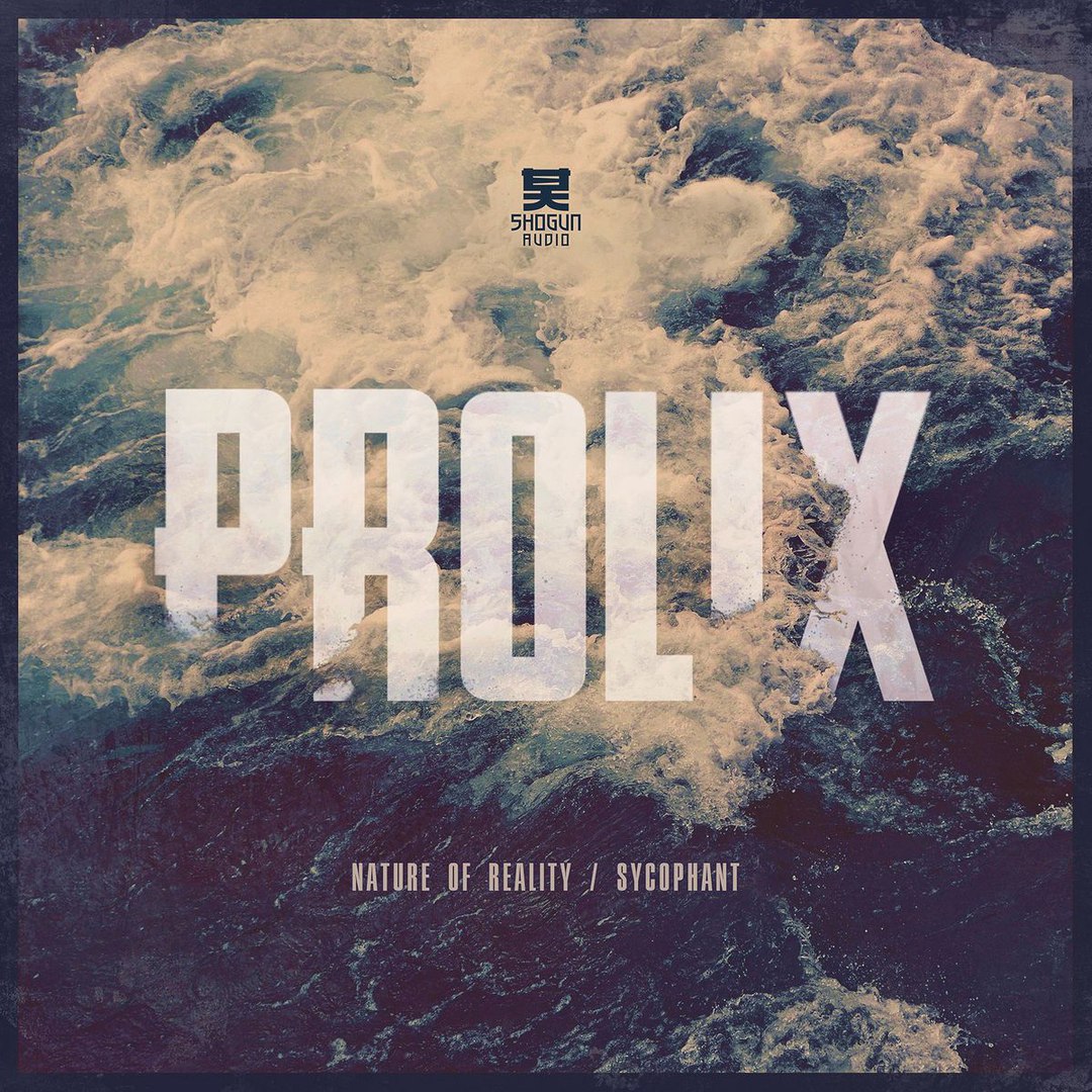 Prolix – Nature Of Reality / Sycophant