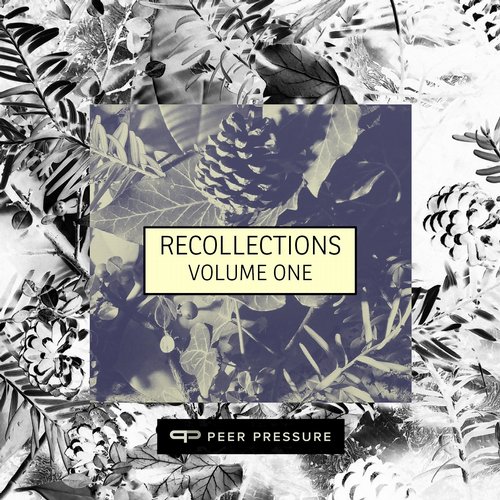 Peer Pressure: Recollections Volume 1