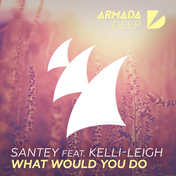 Santey feat. Kelli-Leigh – What Would You Do