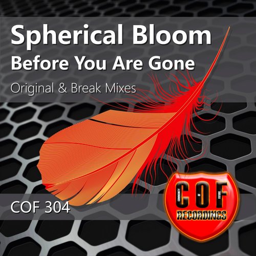 Spherical Bloom – Before You Are Gone