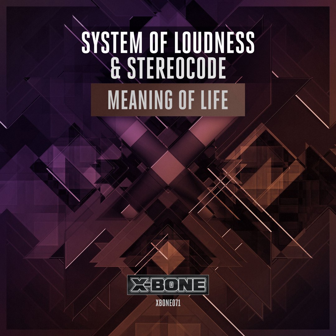 System Of Loudness & Stereocode – Meaning Of Life