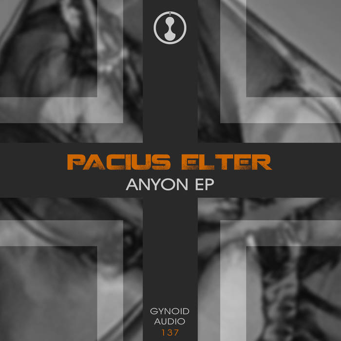 Pacius Elter – Anyon EP