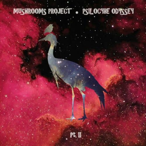 Mushrooms Project – Psilocybe Odyssey Part II