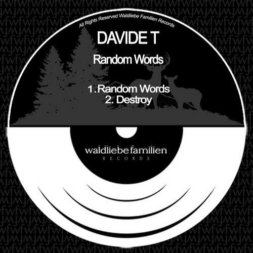 Davide T – Random Words