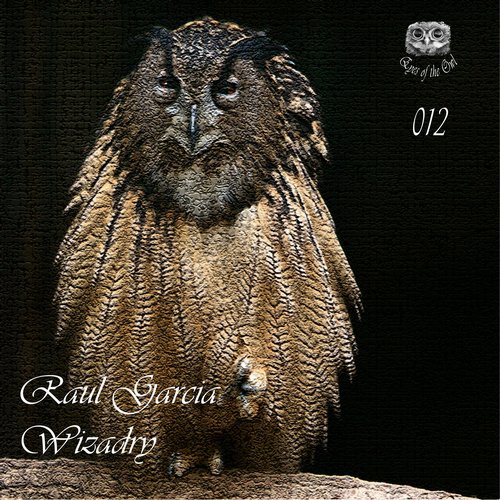Raul Garcia – Wizadry