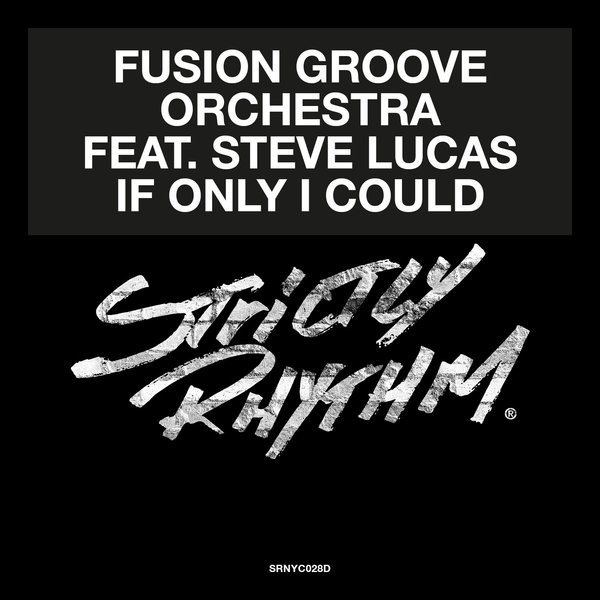 Fusion Groove Orchestra feat. Steve Lucas – If Only I Could