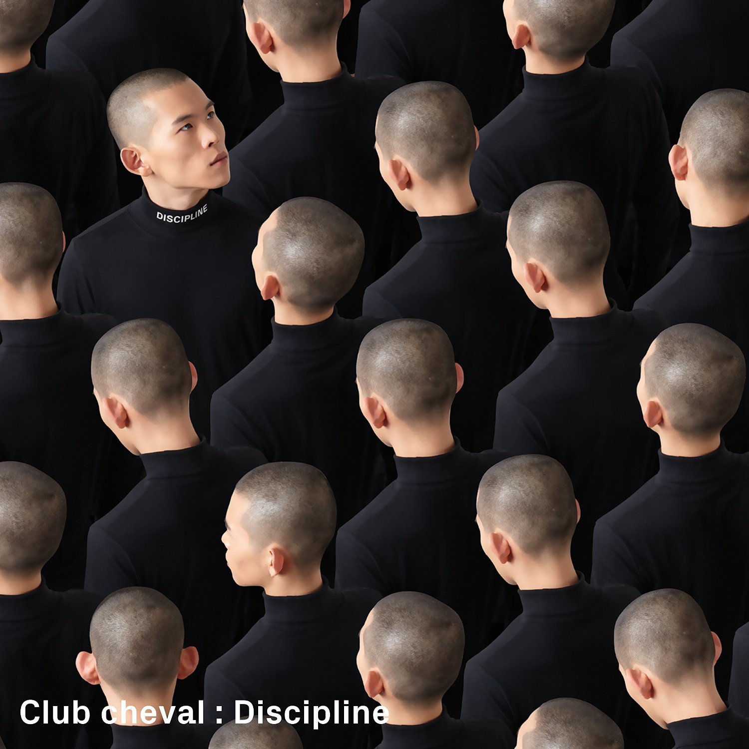 Club Cheval – Discipline