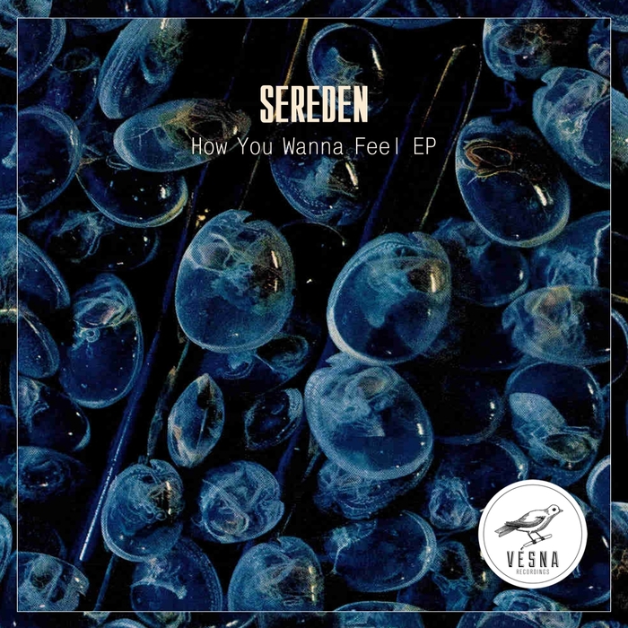 Sereden – How You Wanna Feel EP