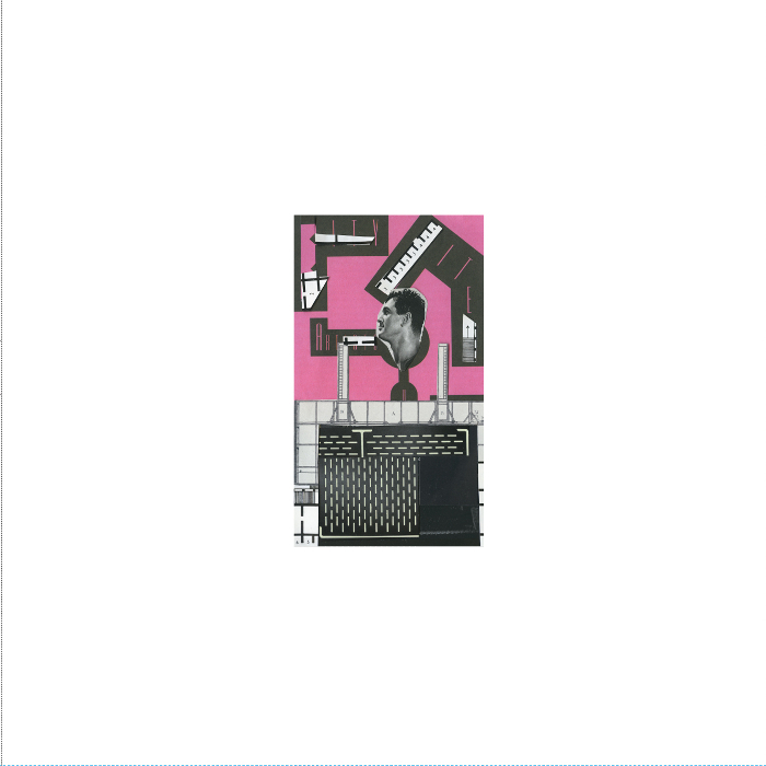 Shark Story Of The Century